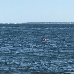 Meet your Posher, Reisa